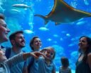 memorable oklahoma city aquariums