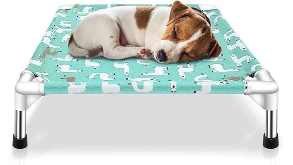 portable elevated dog bed