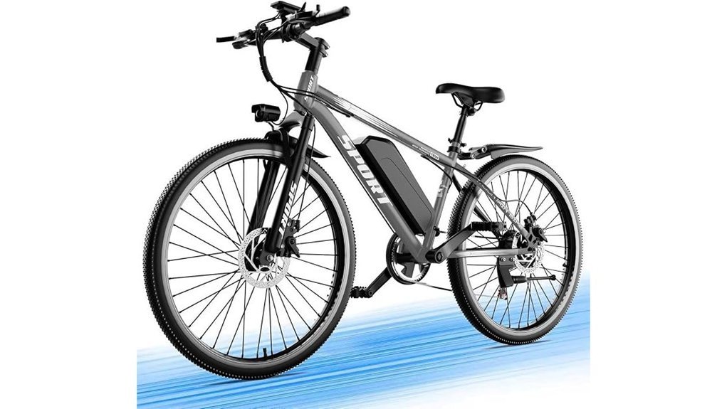 powerful adult electric bike