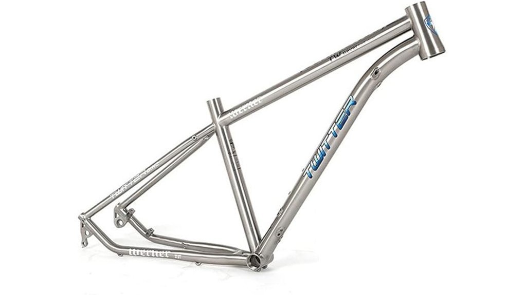 titanium 29er mountain bike