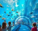 top aquariums in lawton