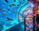top aquariums in tulsa