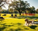 top dog parks broken arrow