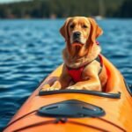 top inflatable kayaks for dogs