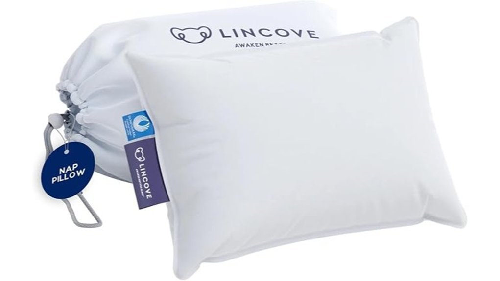 travel pillow for support